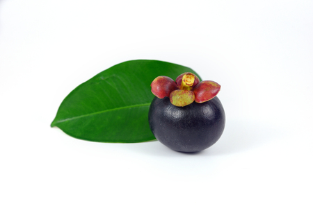 Asian fruit mangosteen on white background.の写真素材