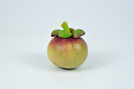 Asian fruit mangosteen on white background.の写真素材