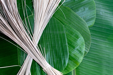 Banana leaf and bamboo for thai packaging.の写真素材
