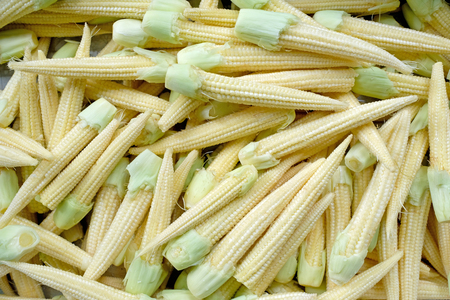 Fresh baby corn for background.の写真素材