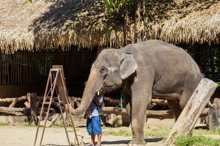 An elephant paint a watercolor.の写真素材