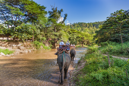 Chiang Mai, Thailand - November 21, 2015: Tourists in Chiang Mai ride on elephants by a river.のeditorial素材