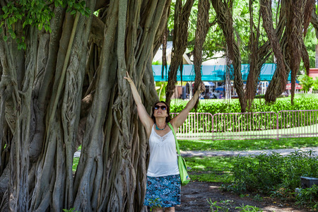 Woman at a giant tree in downtown Miamiの写真素材