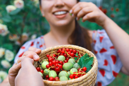 Dieting. Happy caucasian woman eating berries in the garden. A hand holds out ripe natural fruits in a basket.の写真素材