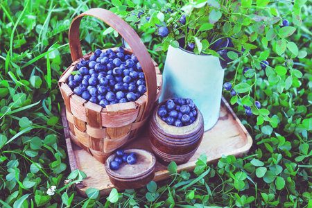 Wild blueberry berries in wooden basket on grass background. Leaves of bush with berries. Summer fresh harvest of delicious and healthy fruits.の写真素材