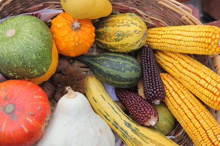 Autumn Harvestの写真素材