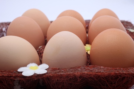 Eggs