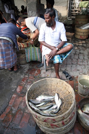 KUMROKHALI, INDIA - JANUARY 12: Selling a fish on fish market in Kumrokhali, West Bengal, India on January 12, 2009. Seafood is one of the main part of indian peoples ration.のeditorial素材