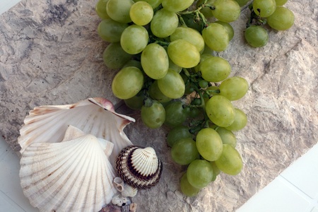 Mediterranean: grapes and shellsの写真素材