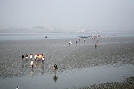 CANNING TOWN, WEST BENGAL, INDIA - JANUARY 17: During low tide the water in the river Malta falls so low that people walk to the other shore in Canning Town, India on January 17, 2009.のeditorial素材
