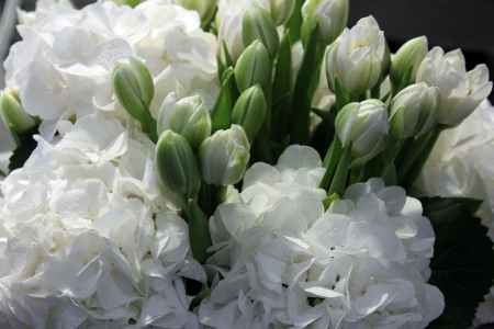 Flower decorationの写真素材