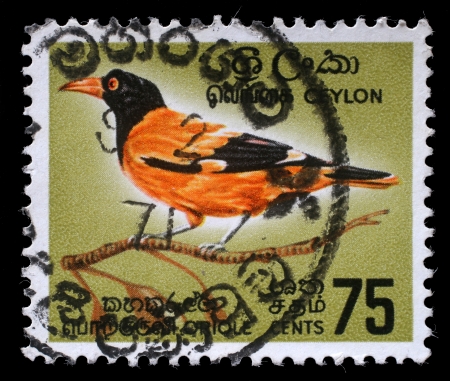 CEYLON - CIRCA 1966  A stamp printed in Ceylon shows Black-hooded Oriole - Oriolus xanthornus, circa 1966のeditorial素材