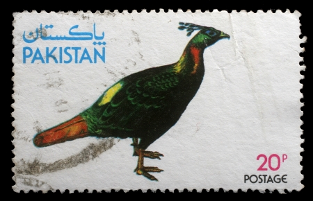 PAKISTAN - CIRCA 1979  stamp printed by Pakistan shows Kalij Pheasant , circa 1979のeditorial素材