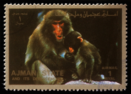 AJMAN - CIRCA 1973  stamp printed by Ajman shows monkeys, circa 1973のeditorial素材