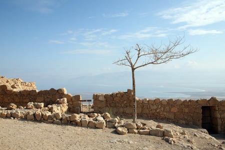 Masada fortressの写真素材