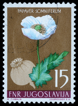Stamp printed in Yugoslavia shows opium poppy, series, circa 1959の写真素材