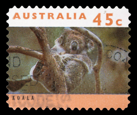 Stamp printed in Australia shows a Koala asleep in tree with inscriptions  Koala , from the series  Australian Wildlife , circa 1994の写真素材