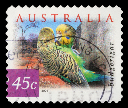 Stamp printed in the Australia shows Budgerigar, Melopsittacus Undulatus, Common Pet Parakeet, Parrot, circa 2001の写真素材