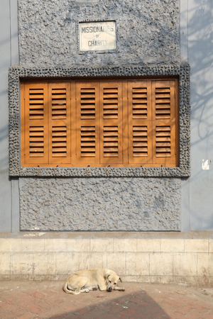 Windows of the Mother House, where Mother Teresa used to live on Dec 25, 2012 in Kolkata, West Bengal, India.のeditorial素材
