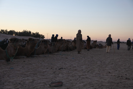 Morning in Sahara desertのeditorial素材