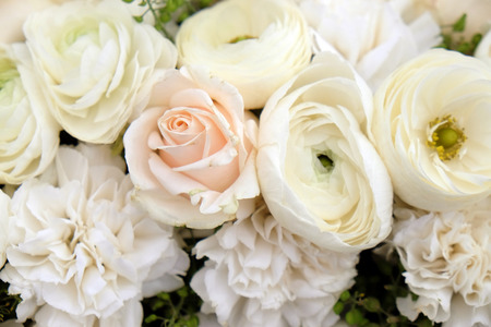 Flowersの写真素材