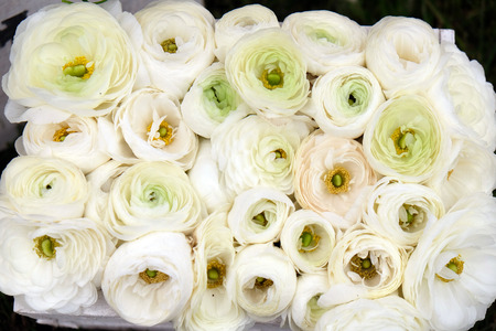 Flowersの写真素材