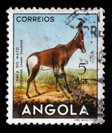 A stamp printed in the Angola shows Red Hartebeest Alcelaphus buselaphus caama, circa 1953.のeditorial素材