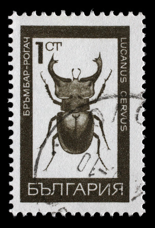 Stamp printed in Bulgaria shows image of a lucanus cervus, circa 1975のeditorial素材