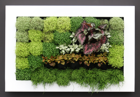 Flowers exposed on Floraart, 49 international garden exhibition in Zagreb, Croatia, on May 30, 2014.のeditorial素材