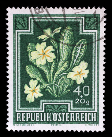 Stamp printed by Austria, shows Primrose (Primula vulgaris), circa 1948のeditorial素材