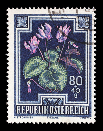 Stamp printed by Austria, shows Wild Violets (Viola odorata), circa 1948のeditorial素材