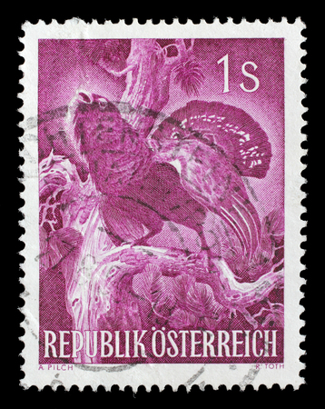 Stamp printed in the Austria shows Capercaillie, Tetrao Urogallus, Wood Grouse, Bird, circa 1959のeditorial素材