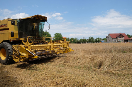 Combine harvester harvest ripe wheat on a farm in Trnovec, Croatia on July 09, 2016のeditorial素材