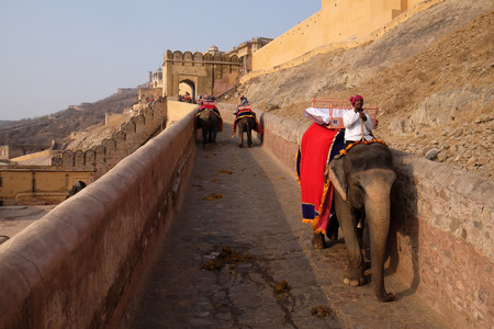 Decorated elephants carrying tourists at Amber Fort in Jaipur, Rajasthan, India, on February 16,...