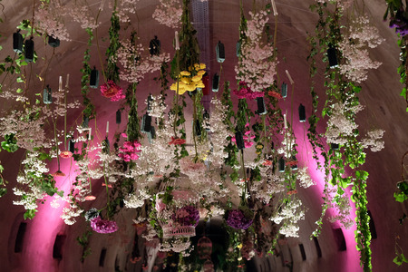 Flowers exposed on Floraart, 52 international garden exhibition in tunnel Gric in Zagreb