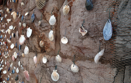 Fishing net decorated with seashell, exposed as decoration in front of the restaurant in Icici, Croatiaの写真素材