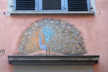 The old mural on the facade of the house shows the peacock in Zurich city center, Switzerlandのeditorial素材