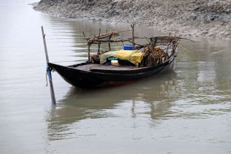 Rowing boat in the swampy areas of the Sundarbans, UNESCO World Heritage Site, Indiaのeditorial素材