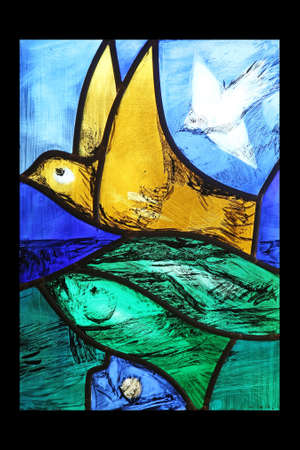 Bird, detail of Saint Francis of Assisi stained glass window by Sieger Koder in Benediktbeuern Abbey, Germanyのeditorial素材