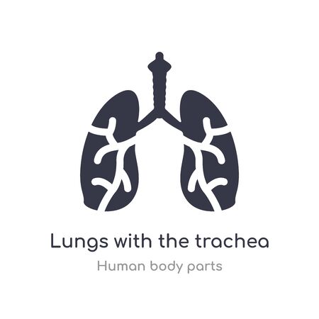 lungs with the trachea outline icon. isolated line vector illustration from human body parts collection. editable thin stroke lungs with the trachea icon on white backgroundのイラスト素材