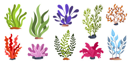 Collection of Colorful Seaweed and Algae Plants.のイラスト素材