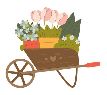 Spring Garden Flowers in Wooden Wheelbarrow.のイラスト素材