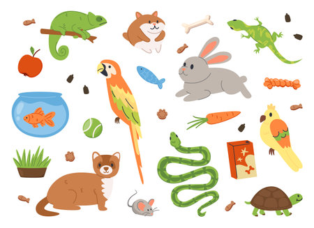 Cute Pet Set with Animals, Food, and Accessories.のイラスト素材