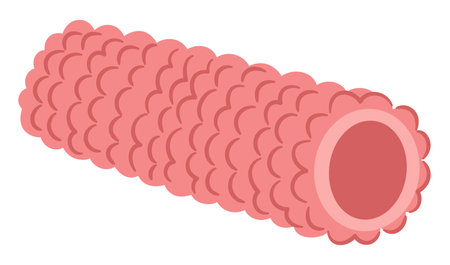 Pink Foam Roller Gym Equipment in Cartoon Style.のイラスト素材