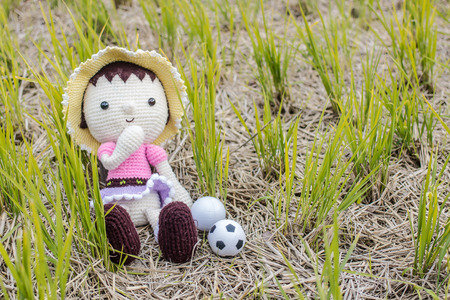 doll and football  in green field  riceの写真素材