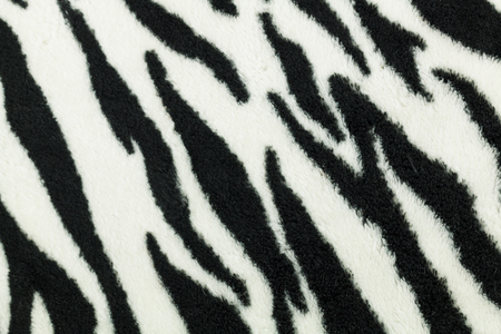 soft black and white color of wool texture  background