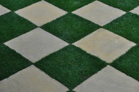 Green texture between tiles and grass の写真素材