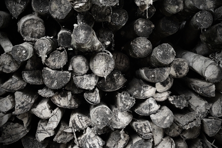 firewood stacks
