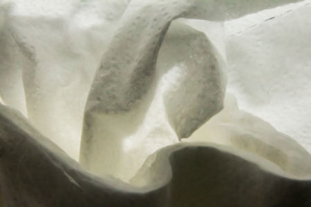 tissue like a shadow,like a worke of artの写真素材