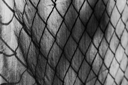 Patterned background. With mesh curtain.の写真素材